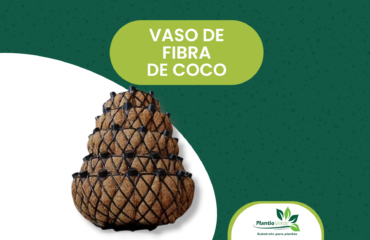 Vaso de Fibra de Coco Vaso de Fibra de Coco