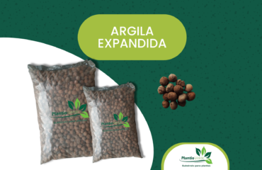 Argila Expandida