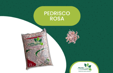 Pedrisco Rosa