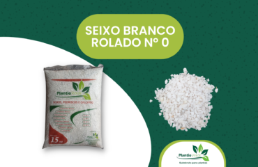 Seixo Branco  Nº 0