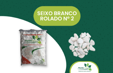 Seixo Branco Nº 2 Seixo Branco Nº 2