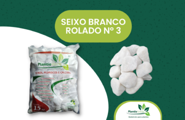 Seixo Branco  Nº 3