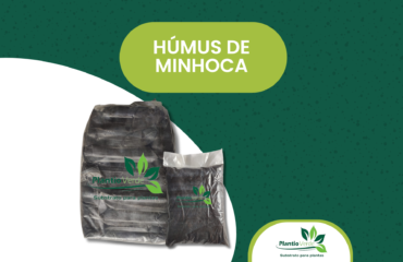 Húmus de Minhoca